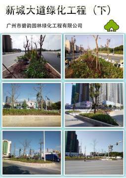 增城新城大道綠化工程 提升城市形象，筑就綠色長廊